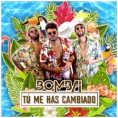 Tú Me Has Cambiado artwork