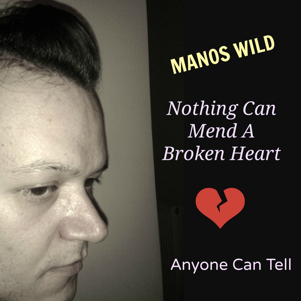 Nothing Can Mend a Broken Heart / Anyone Can Tell - Single by Manos Wild on  Apple Music