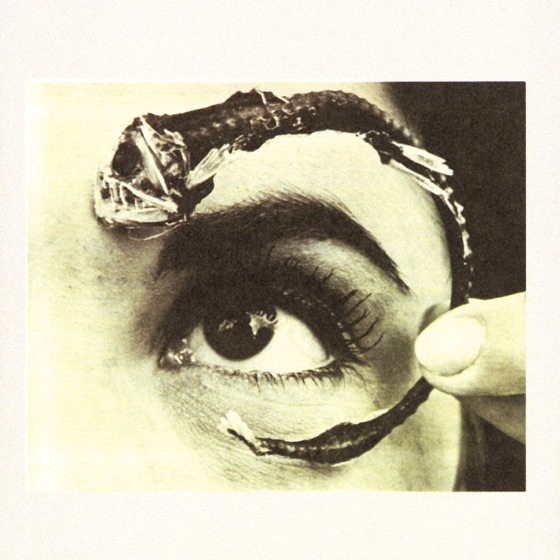 Cover artwork for Platypus