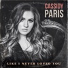 Like I Never Loved You - Single