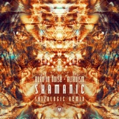 Shamanic (Skizologic Remix) artwork