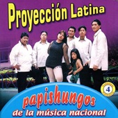 Papishungos De La Música Nacional, Vol. 4 artwork