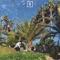 Palm Trees - Gavin Santi lyrics