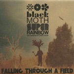 Black Moth Super Rainbow - Colorful Nickels