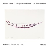 Piano Sonata No. 1 in F Minor, Op. 2/No. 1: IV. Prestissimo artwork