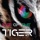 Eye of the Tiger-Eye of the Tiger