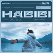 Habibi artwork