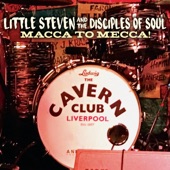Little Steven - Boys (feat. The Disciples of Soul)