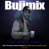 The Bujimix Remix Tape, 2014