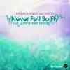 Never Felt So Fly (Remixes) [feat. Melo] album lyrics, reviews, download