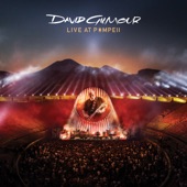 David Gilmour - Sorrow (Live At Pompeii 2016)