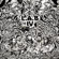 Why Oh Why - L.A.B.