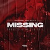 Missing (feat. NAJA) - Single