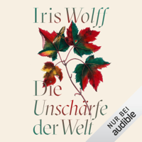 Iris Wolff - Die Unschärfe der Welt artwork
