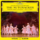 Tchaikovsky: The Nutcracker (Live from Mariinsky Theatre / Visual Album) artwork