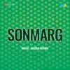 Tujhe Lattu Bana (From "Sonmarg") - Single album lyrics, reviews, download