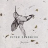 Peter Sandberg - Implode