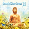 Buddha Bar XI, 2009