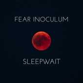 Fear Inoculum artwork