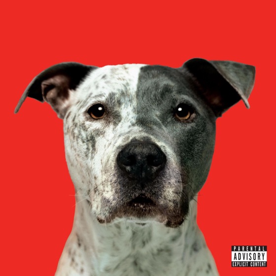 Cover artwork for CARRY