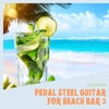 Pedal Steel Guitar for Beach Bar 3