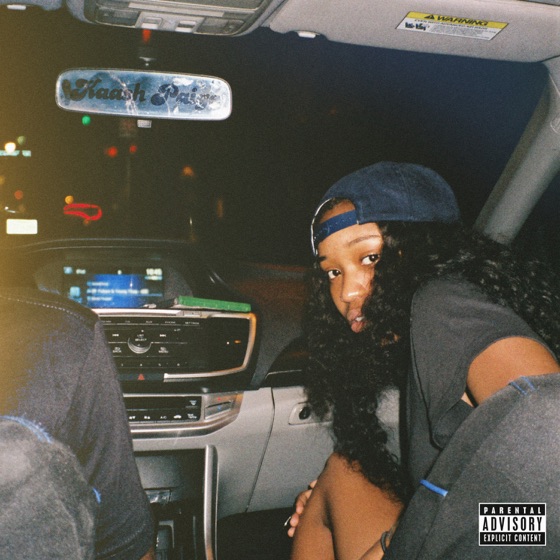 Cover artwork for Fake Friends