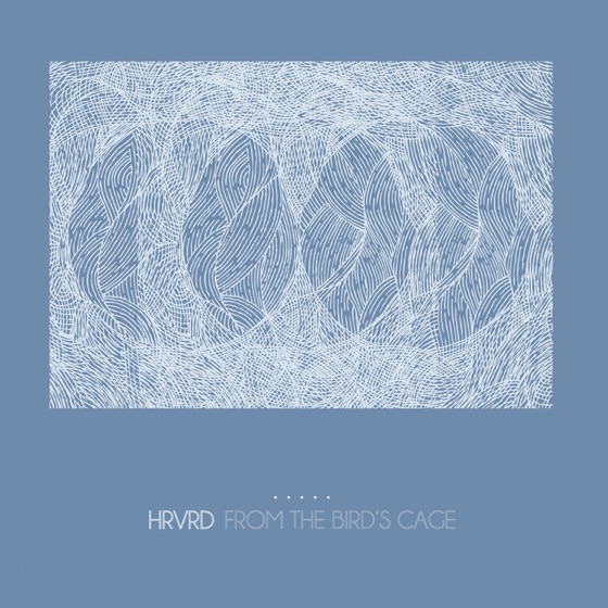 Cover artwork for Timid Scripts
