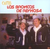 Los Broncos de Reynosa: Éxitos, 1990