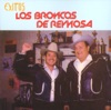 Los Broncos de Reynosa: Éxitos