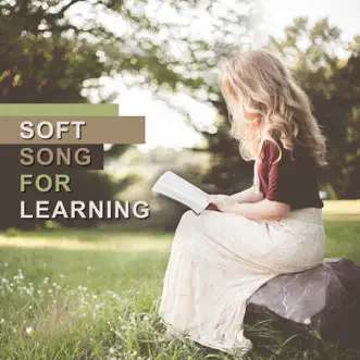 Soft Song for Learning: Concentration Music for Studying, Focus and Improve Memory, Study Exam by Brain Stimulation Music Collective album reviews, ratings, credits