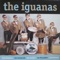 Again and Again - The Iguanas lyrics