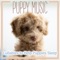 In Bloom - Dog Music Dreams, Dog Music & Dog Music Therapy lyrics