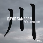 David Sanborn - Spanish Joint