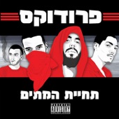 תחיית המתים artwork