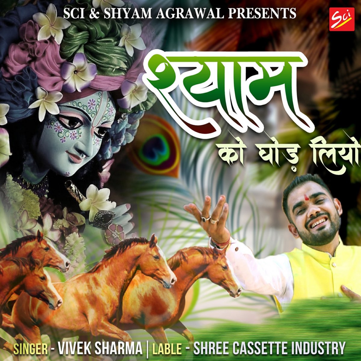 Shyam Ko Ghorliyo - Single by Vivek Sharma on Apple Music