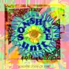Sonshine State of Mind album lyrics, reviews, download