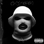 ScHoolboy Q - Man Of The Year