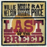 Willie Nelson, Merle Haggard & Ray Price - That Silver Haired Daddy of Mine