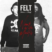 Felt - Name In Ya Mouth