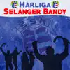 Härliga Selånger Bandy - Single album lyrics, reviews, download