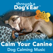 Calm Your Canine: Dog Calming Music artwork