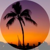 Palm Tree - Single