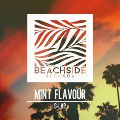 Mint Flavour - Single by Slap album reviews, ratings, credits