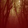 Aokigahara Forest - EP album lyrics, reviews, download