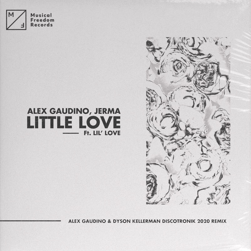 Lil love. Alex Gaudino never give up on Love. Little of your Love Remix.