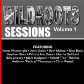 Wildroots Sessions, Vol. 1 artwork