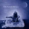 Om Namah Shivaya album lyrics, reviews, download