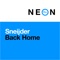 Back Home - Sneijder lyrics