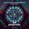 Pragmatix & Ovnimoon - Catalyse Consciousness