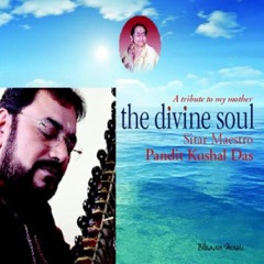 The Divine Soul